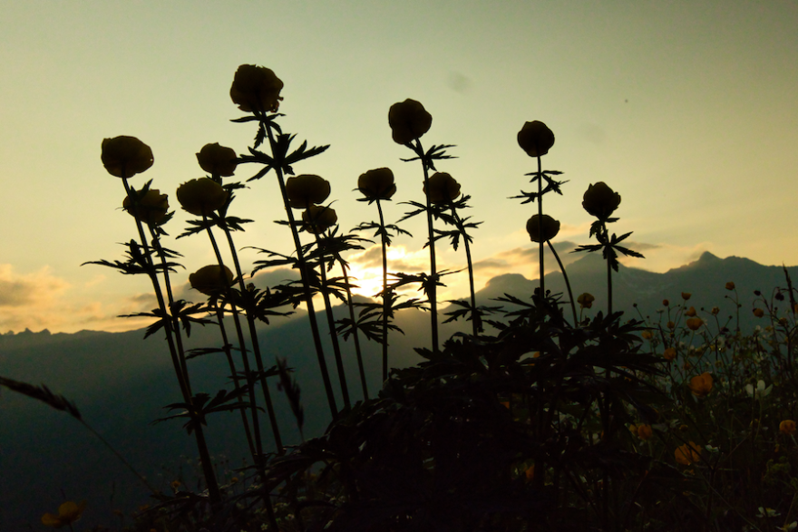 Sinnbild Selbstvertrauen, Selbstwert und Selbstbewusstsein